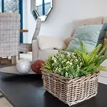 Angelita *